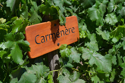 Carmenère