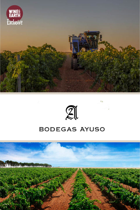 Castillo de Benizar Tempranillo 2021