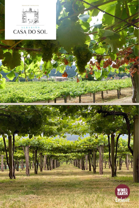 Albariño Froiña 2021