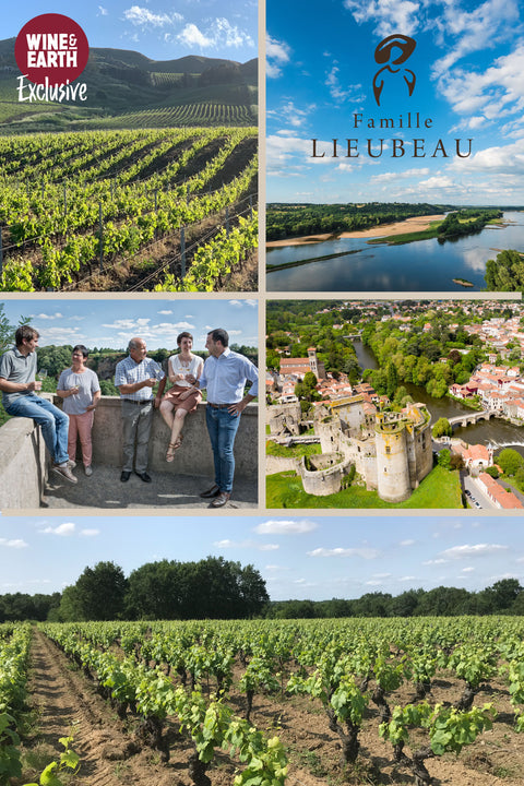 Muscadet Joseph Grégoire Lieubeau 2019