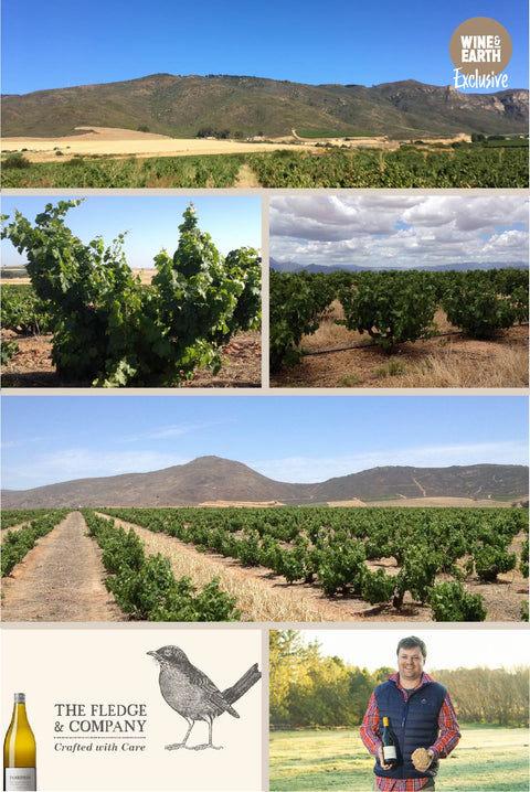 Fledge Katvis Pinot Noir 2020