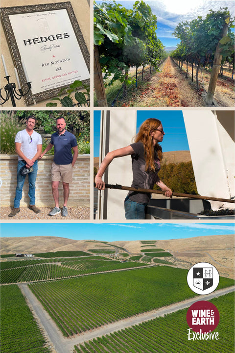 Estate Cab Sav 2019