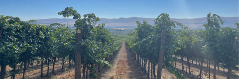 Flawless Biodynamic Wines from the USA