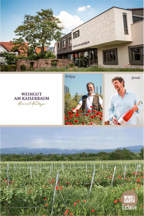 Auslese 2015 (Half)