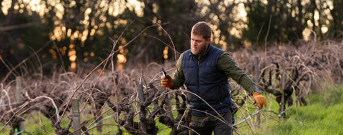 organic and biodynamic wines
