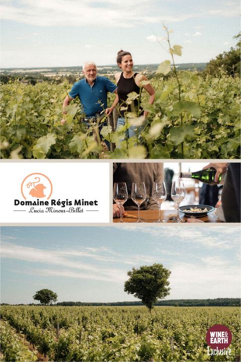 Pouilly-Fumé Vieilles Vignes 2019