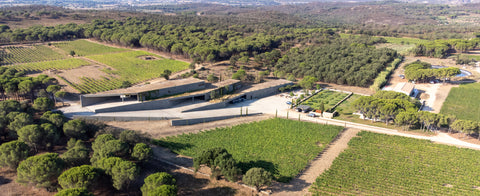 Outstanding organic Catalan wines