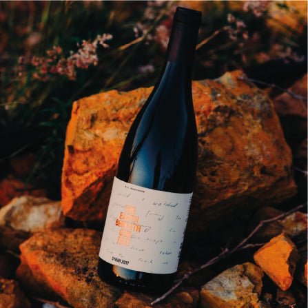 Stanley's Syrah 2019