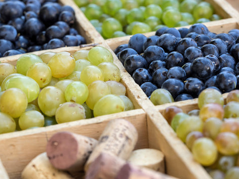 Grapes and corks from Feudo Montoni, Italy