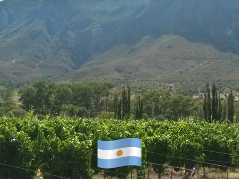 Argentinian wines by Wine&Earth