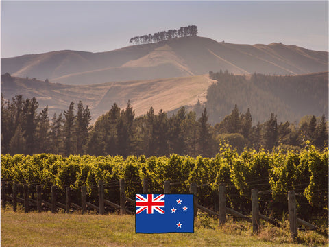 New Zealand wines