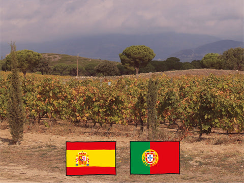 Portuguese Wines by WineandEarth