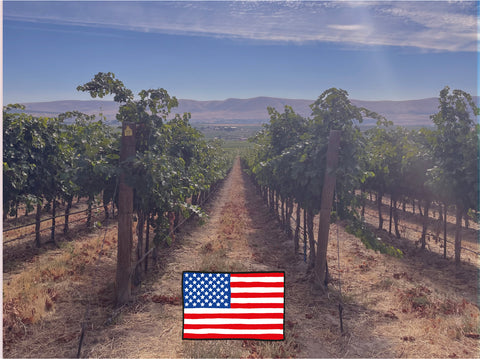 USA vineyard Washington State