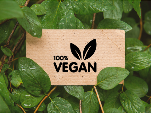 Vegan certification logo image