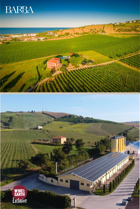 Montepulciano d'Abruzzo I Vasari Old Vines 2018