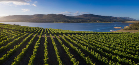 World-class wines. No hangover for the planet.