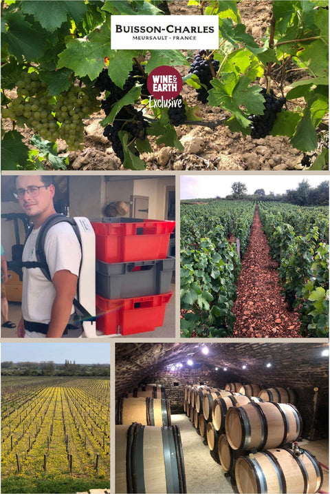 Bourgogne Pinot Noir Hautes Coutures 2020