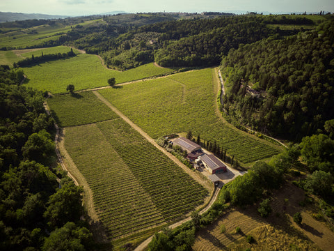 Fine Organic Wine